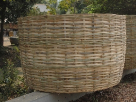 រូបលេខ៧