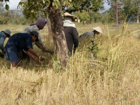 រូបលេខ១