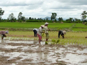 រូបលេខ២