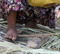 រូបលេខ៧