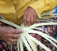 រូបលេខ៨
