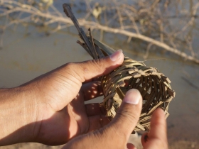 រូបលេខ២