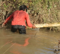 រូបលេខ៦