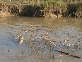 រូបលេខ៩