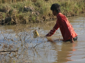 រូបលេខ៨
