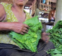 រូបលេខ៤