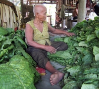 រូបលេខ៣