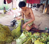 រូបលេខ៨
