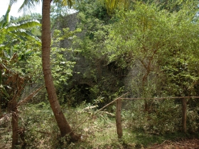 រូបលេខ៥