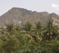 រូបលេខ១០