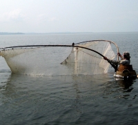 រូបលេខ២