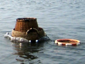 រូបលេខ៥