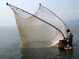 រូបលេខ៤
