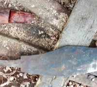 រូបលេខ១