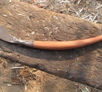 រូបលេខ៤