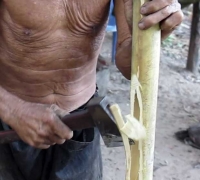 រូបលេខ៥