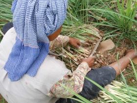 រូបលេខ៤
