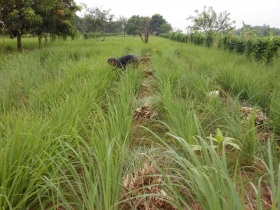 រូបលេខ៦