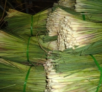 រូបលេខ៩