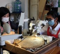 រូបលេខ១២