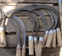 រូបលេខ១៤