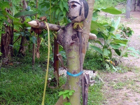 រូបលេខ២