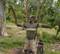 រូបលេខ៥