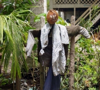 រូបលេខ៦