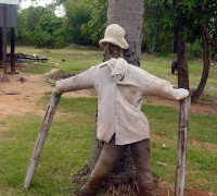 រូបលេខ១៤