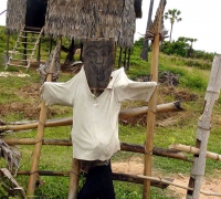 រូបលេខ១១