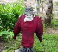 រូបលេខ១២