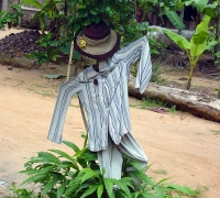 រូបលេខ៨