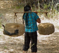 រូបលេខ៦