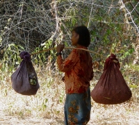 រូបលេខ៥