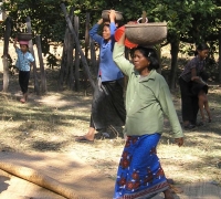 រូបលេខ២១