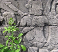 រូបលេខ១៧