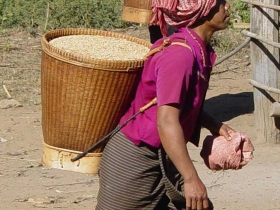 រូបលេខ២៥