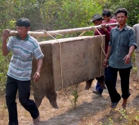 រូបលេខ៣៣