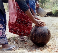 រូបលេខ៦