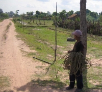 រូបលេខ៤