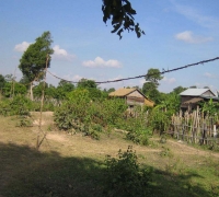 រូបលេខ៦