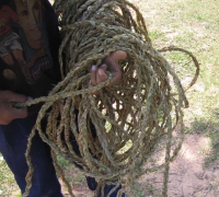 រូបលេខ៥