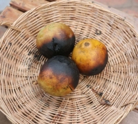 រូបលេខ៣