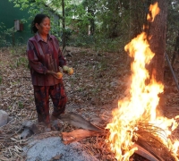 រូបលេខ២