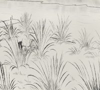 រូបលេខ៣