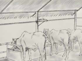 រូបលេខ៧