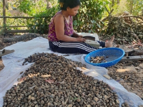 រូបលេខ៥