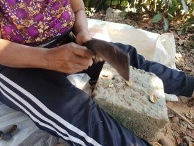 រូបលេខ៣