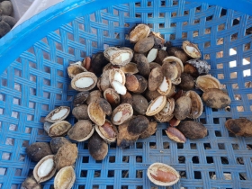 រូបលេខ៤