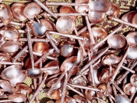 រូបលេខ២